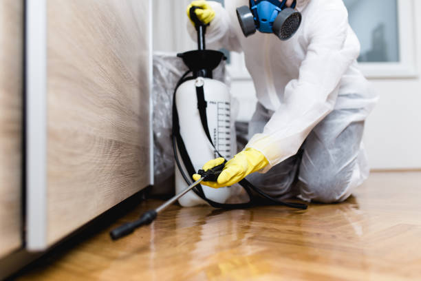 Best Local Pest Control Services  in San Castle, FL