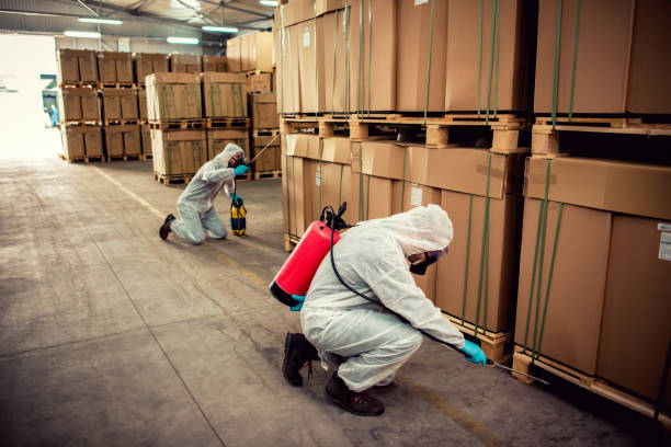 Pest Control for Restaurants in San Castle, FL