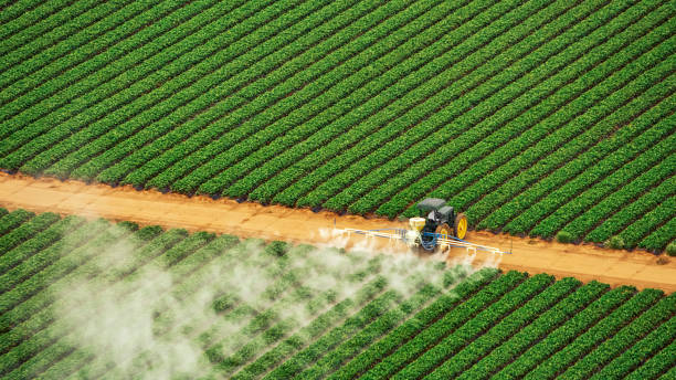 Best Mosquito Control Services  in San Castle, FL