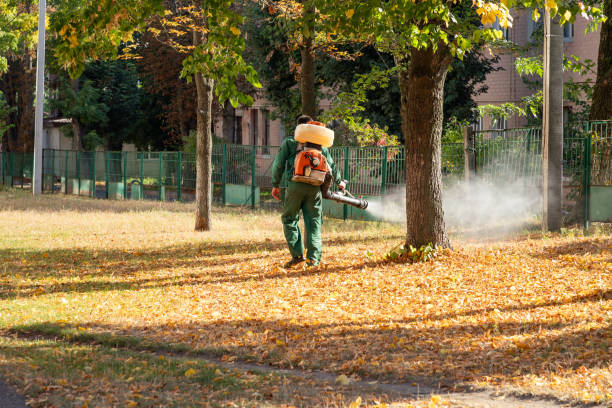 Best Flea Control Services  in San Castle, FL