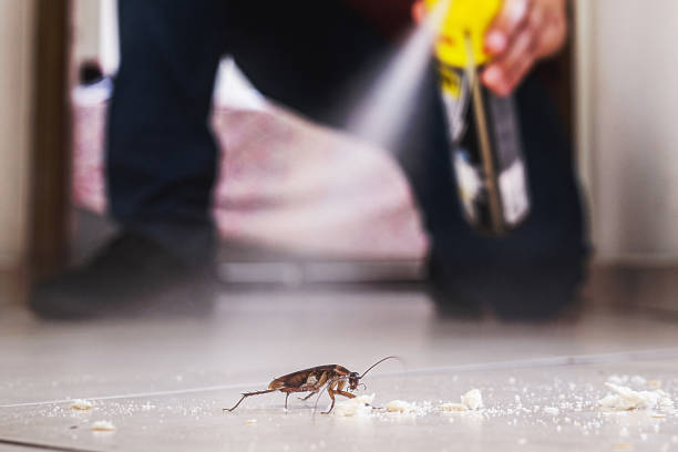Best Termite Control Services  in San Castle, FL
